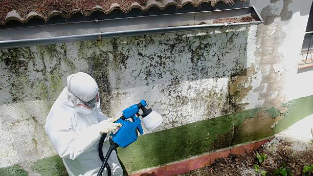 Trusted Mold Removal service in Fayetteville, PA - Cheap Mold Removal